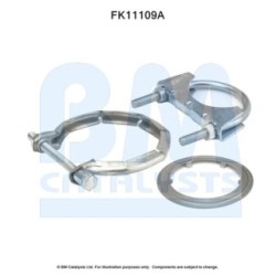 Diesel Particulate Filter Fitting Kit - BM Catalysts FK11109