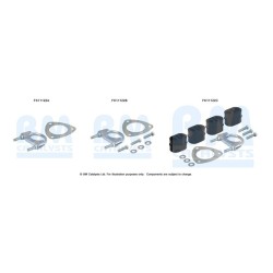 Diesel Particulate Filter Fitting Kit - BM Catalysts FK11122