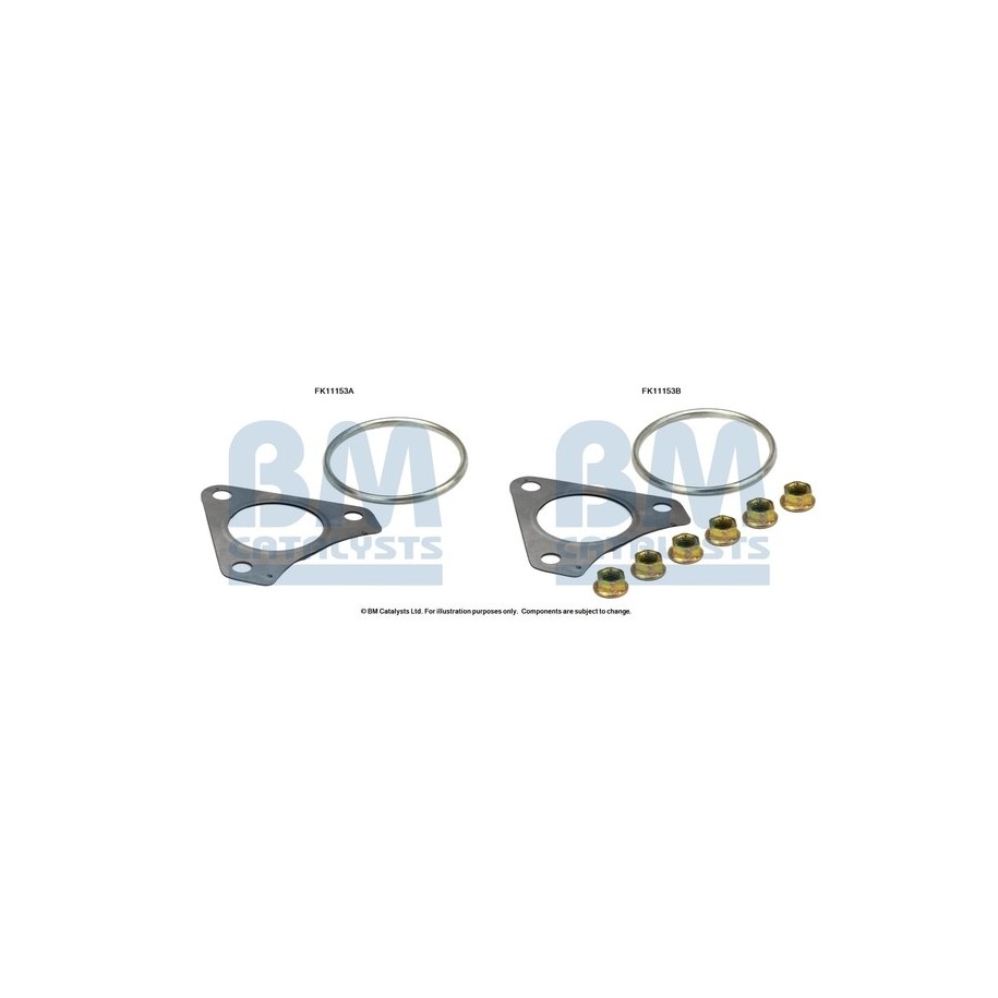 Diesel Particulate Filter Fitting Kit - BM Catalysts FK11153