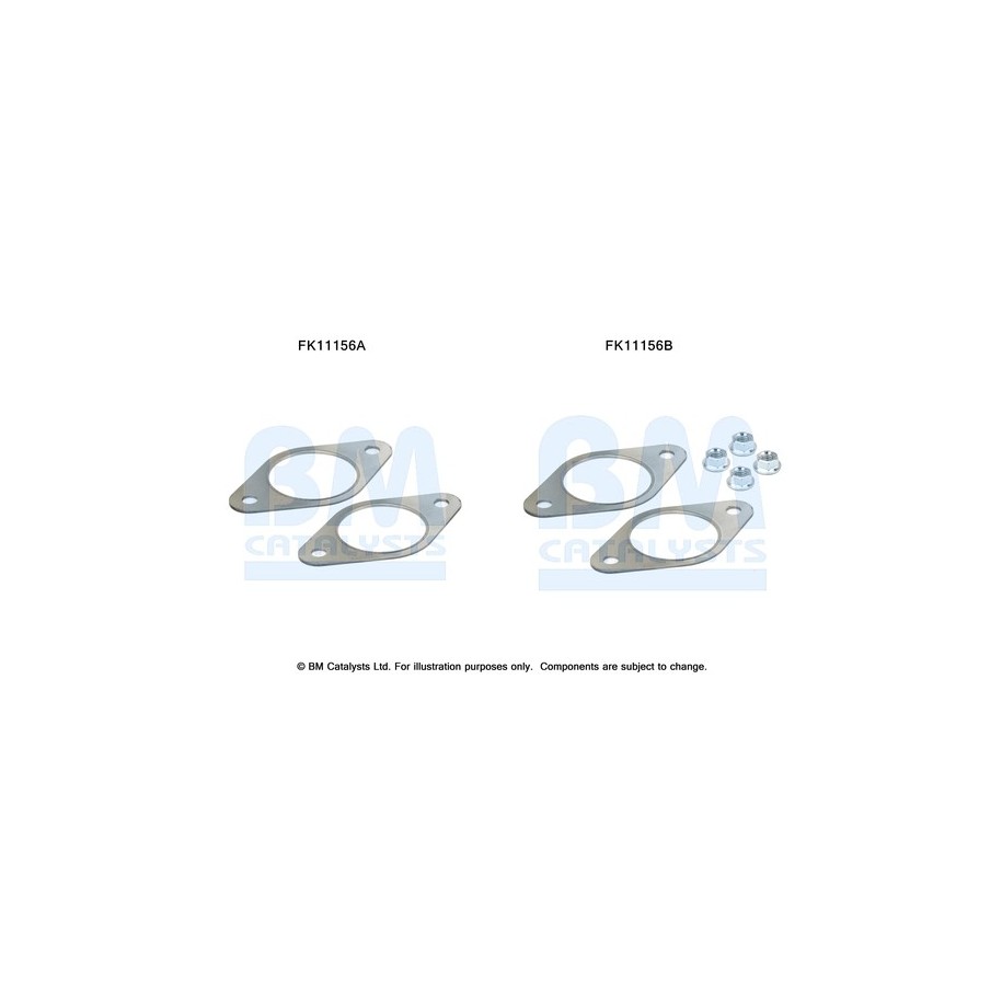 Diesel Particulate Filter Fitting Kit - BM Catalysts FK11156