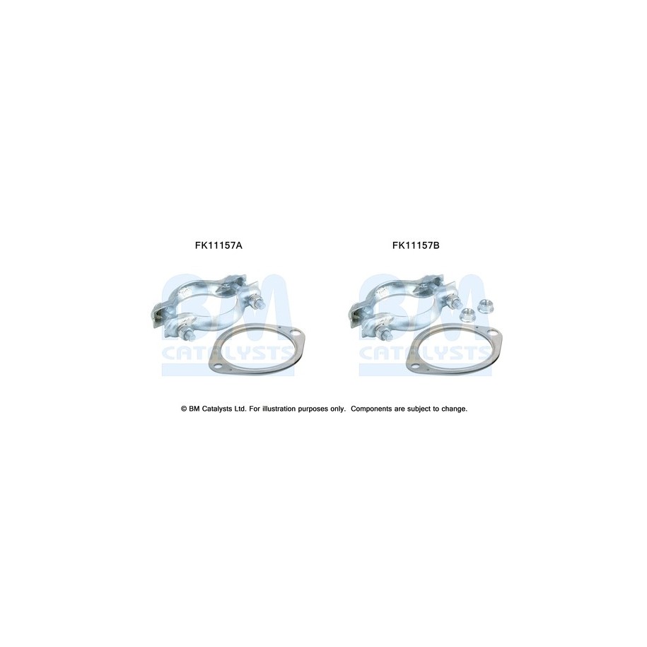 Diesel Particulate Filter Fitting Kit - BM Catalysts FK11157