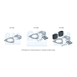 Diesel Particulate Filter Fitting Kit - BM Catalysts FK11169