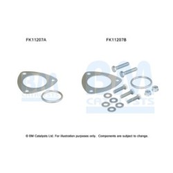 Diesel Particulate Filter Fitting Kit - BM Catalysts FK11207