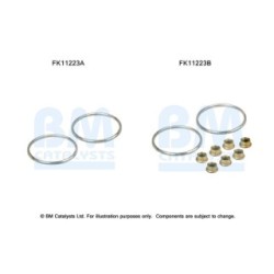Diesel Particulate Filter Fitting Kit - BM Catalysts FK11223