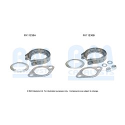 Diesel Particulate Filter Fitting Kit - BM Catalysts FK11230