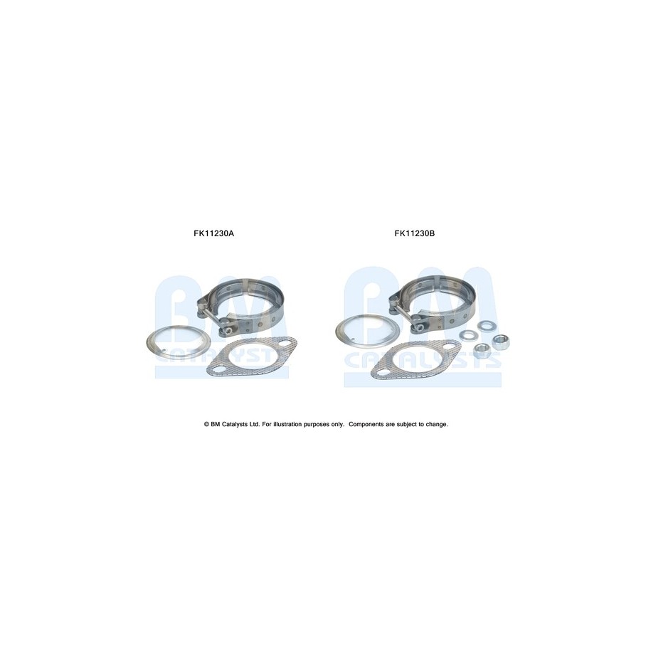 Diesel Particulate Filter Fitting Kit - BM Catalysts FK11230