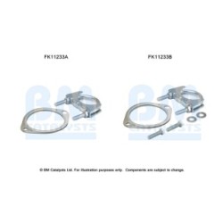 Diesel Particulate Filter Fitting Kit - BM Catalysts FK11233