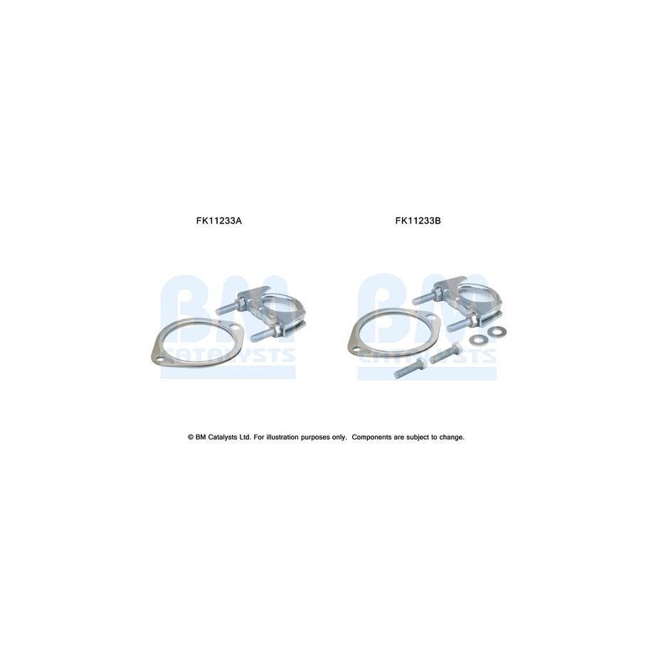Diesel Particulate Filter Fitting Kit - BM Catalysts FK11233