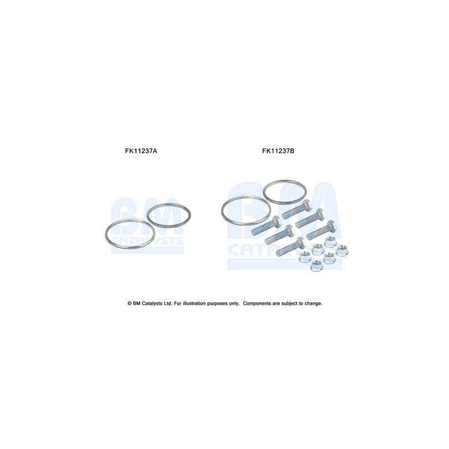 Diesel Particulate Filter Fitting Kit - BM Catalysts FK11237