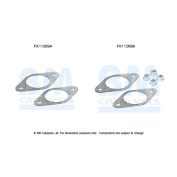 Diesel Particulate Filter Fitting Kit - BM Catalysts FK11269