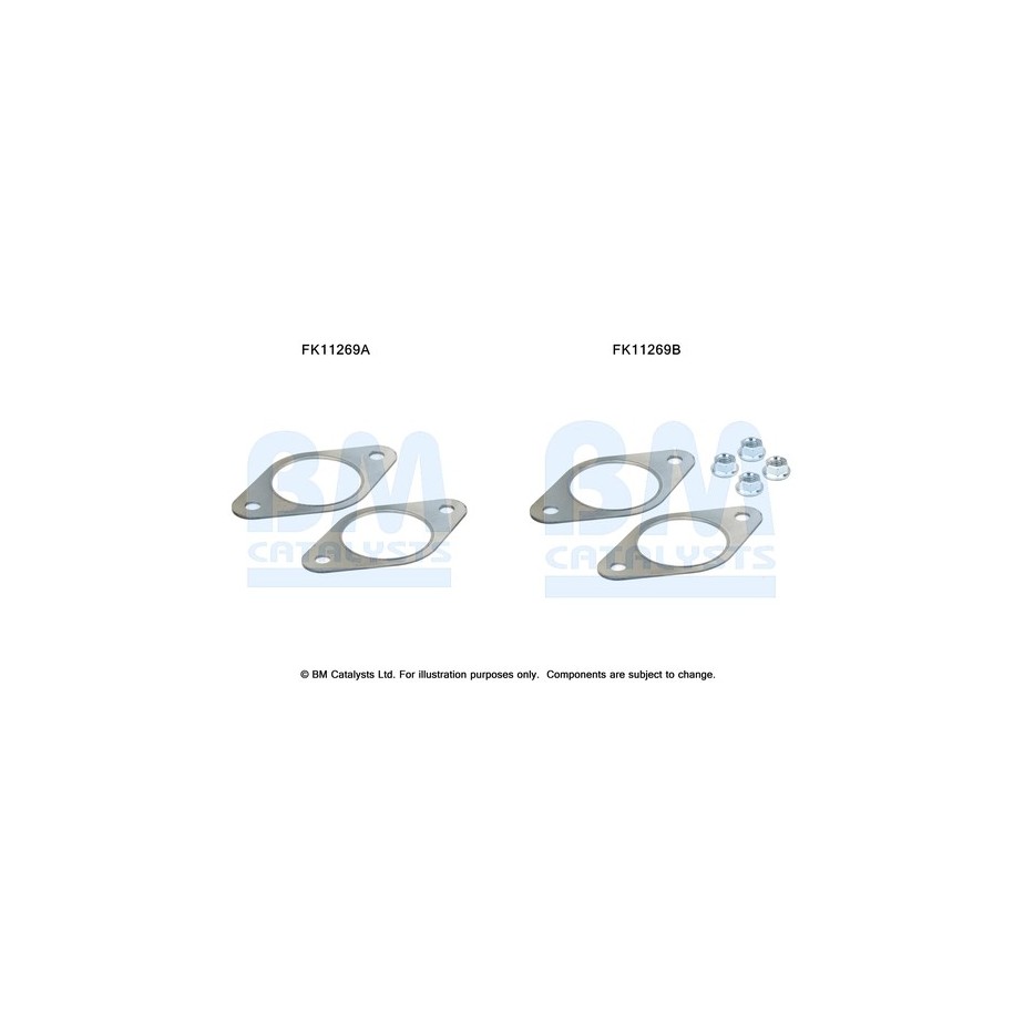 Diesel Particulate Filter Fitting Kit - BM Catalysts FK11269