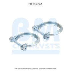 Diesel Particulate Filter Fitting Kit - BM Catalysts FK11279