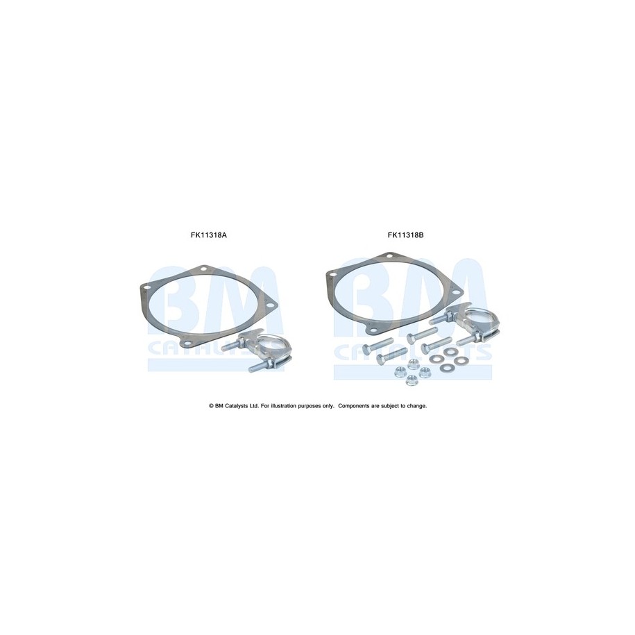 Diesel Particulate Filter Fitting Kit - BM Catalysts FK11318
