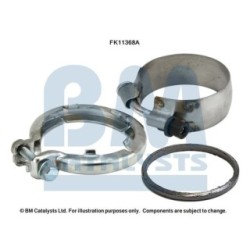 Diesel Particulate Filter Fitting Kit - BM Catalysts FK11368
