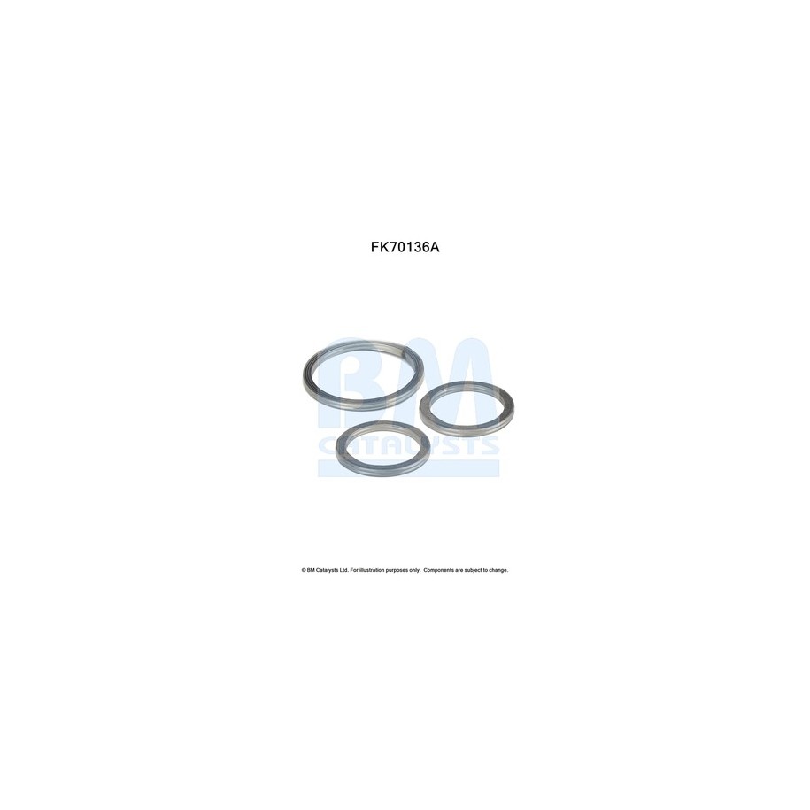 Exhaust Pipe Fitting Kit - BM Catalysts FK70136