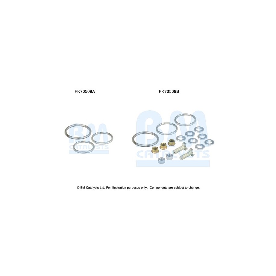 Exhaust Pipe Fitting Kit - BM Catalysts FK70509