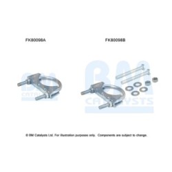 Catalytic Converter Fitting Kit - BM Catalysts FK80098