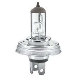 Headlight Bulb - HELLA 8GJ 003 133-242