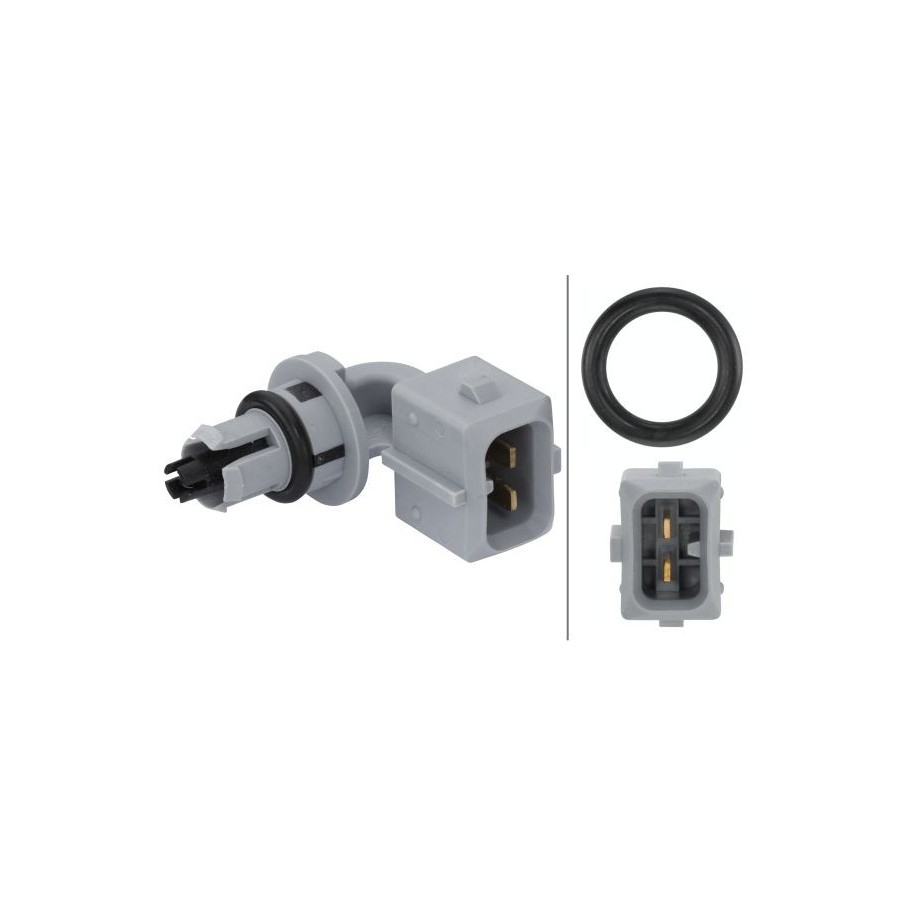 Intake Air Temperature Sensor - HELLA 6PT 009 109-221