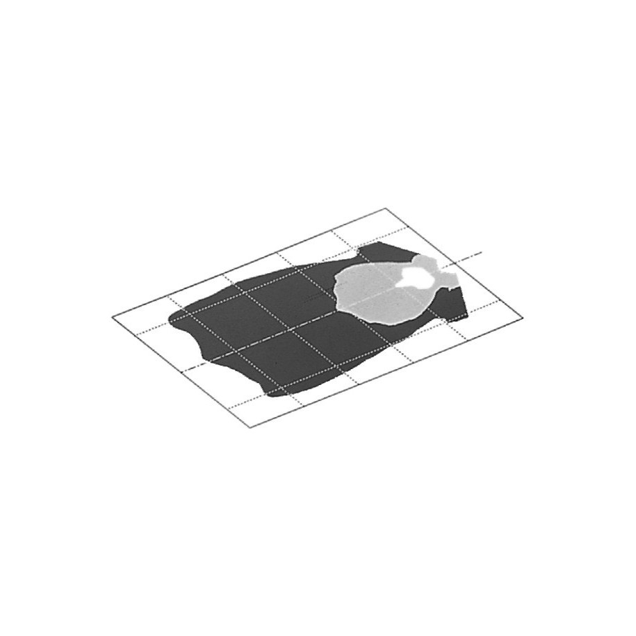 Worklight - HELLA 1GB 006 213-111
