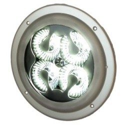 Interior Light - HELLA 2JB 344 227-001 | OE 1526479