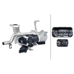HELLA EGR Module 6NU 010 171-181 for CITROEN,FORD,PEUGEOT,VOLVO