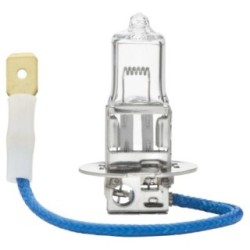 Worklight Bulb - HELLA 8GH 002 090-251