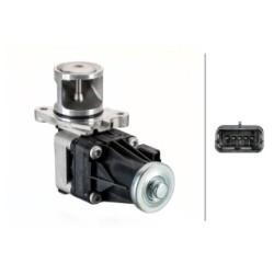 HELLA EGR Valve 6NU 014 864-071 for PEUGEOT,CITROEN,FORD & more..