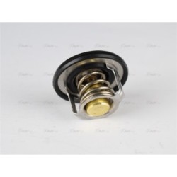 Engine Thermostat - AVA DNTS001