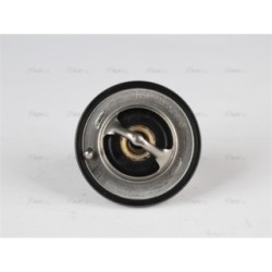 Engine Thermostat - AVA DNTS001