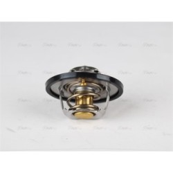 Engine Thermostat - AVA DNTS002
