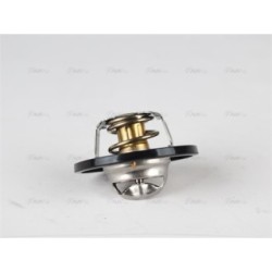 Engine Thermostat - AVA DNTS002