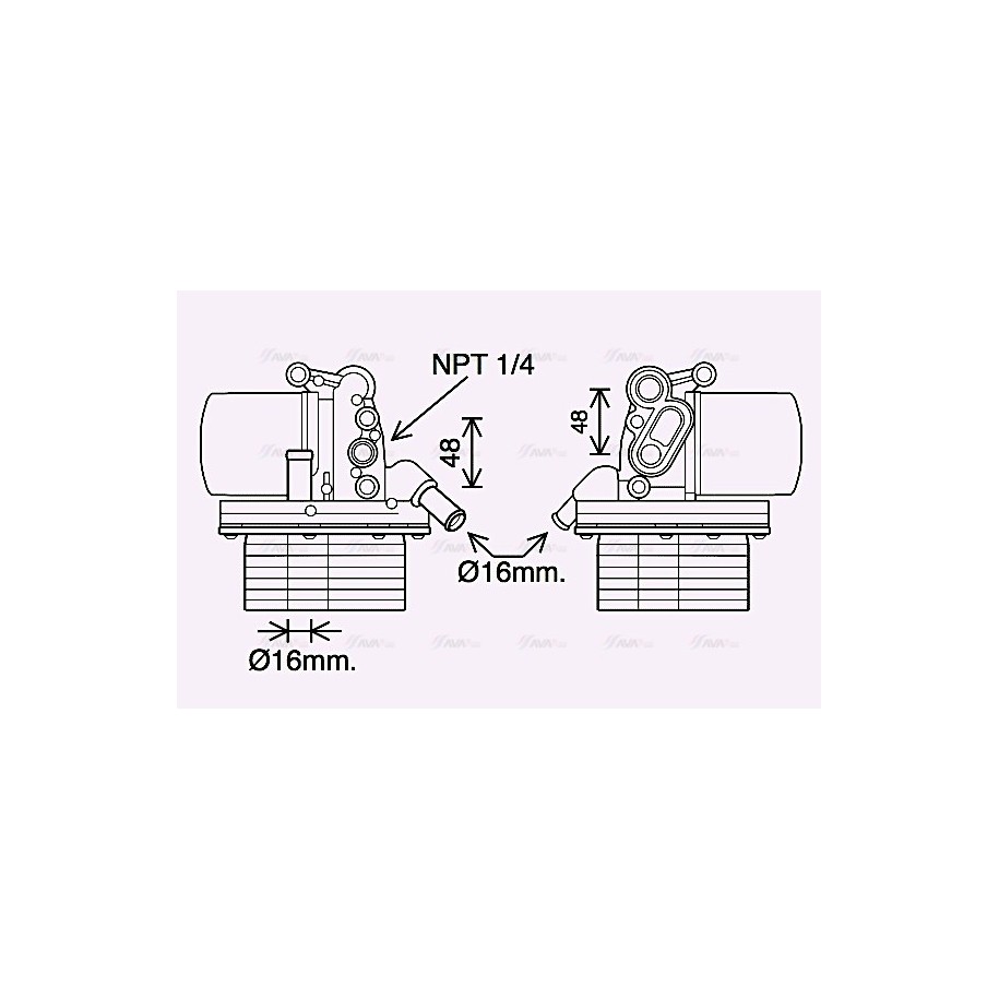 Engine Oil Cooler - AVA FD3625H