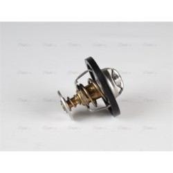 Engine Thermostat - AVA FDTS006