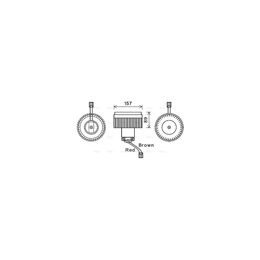 Heater Blower Motor - AVA VO8176