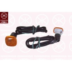 Direction Indicator Light - KK 00150550