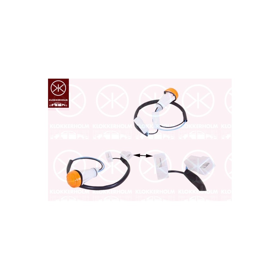 Direction Indicator Light - KK 00250555