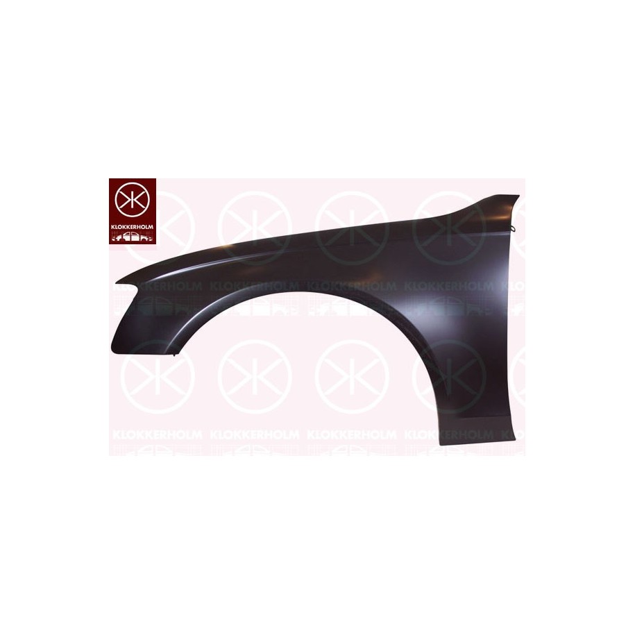 Wing - KK 0029311A1