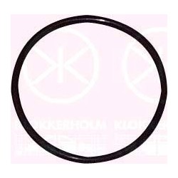 Fuel Sender Seal - KK 00540092