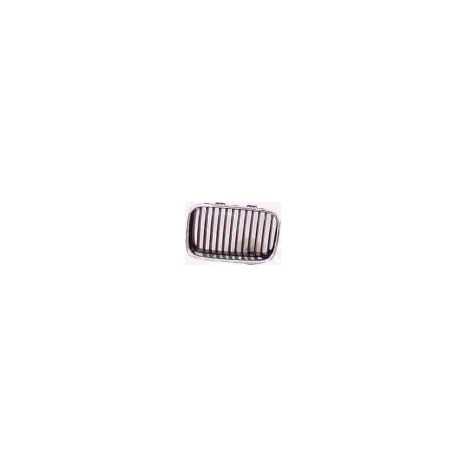 Radiator Grille - KK 0060992