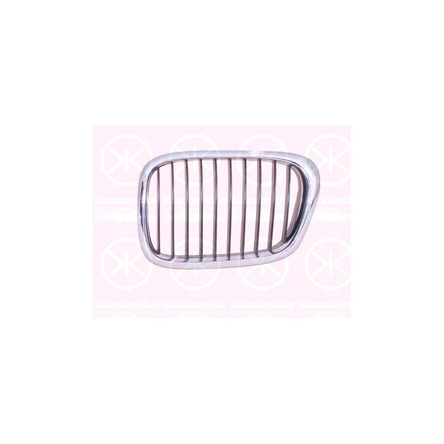 Radiator Grille - KK 00659911
