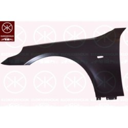 Wing - KK 0066314A1