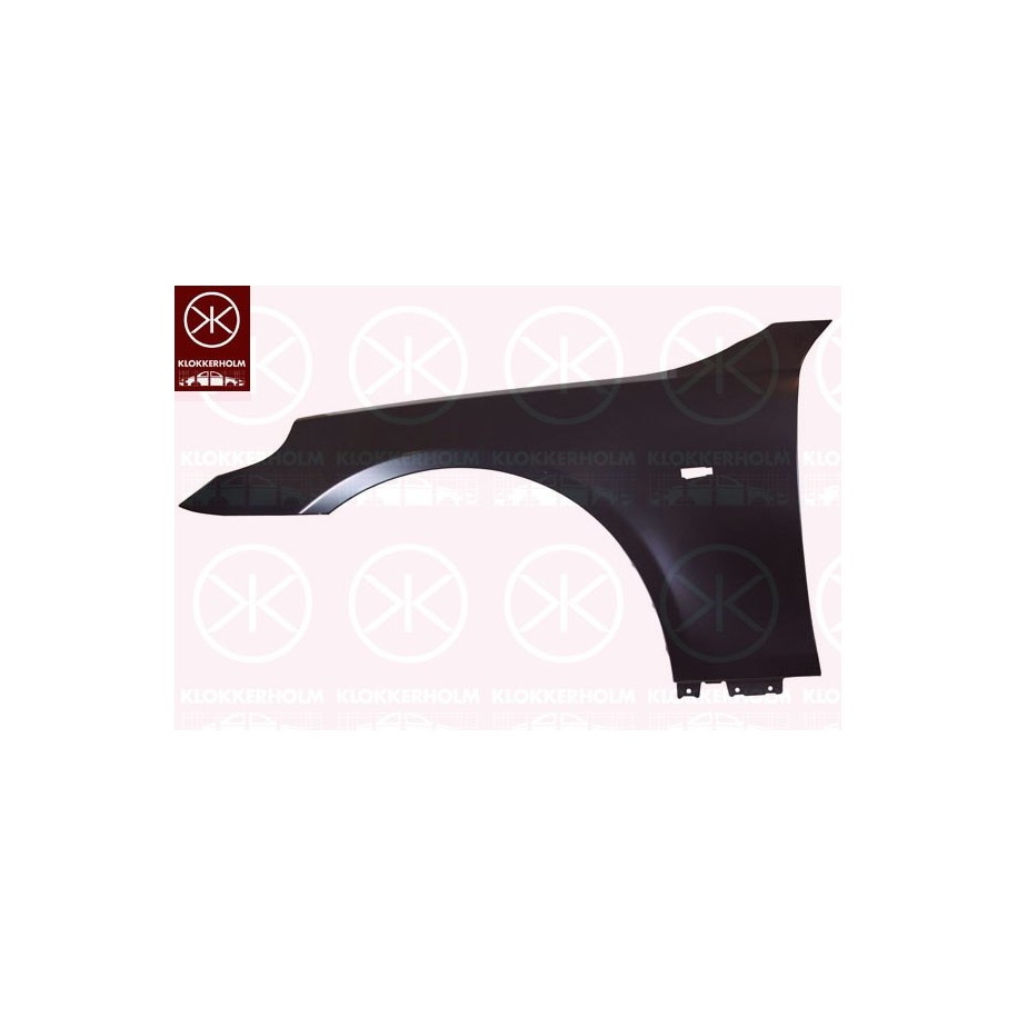 Wing - KK 0066314A1