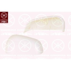 Exterior Mirror Cover - KK 11201052