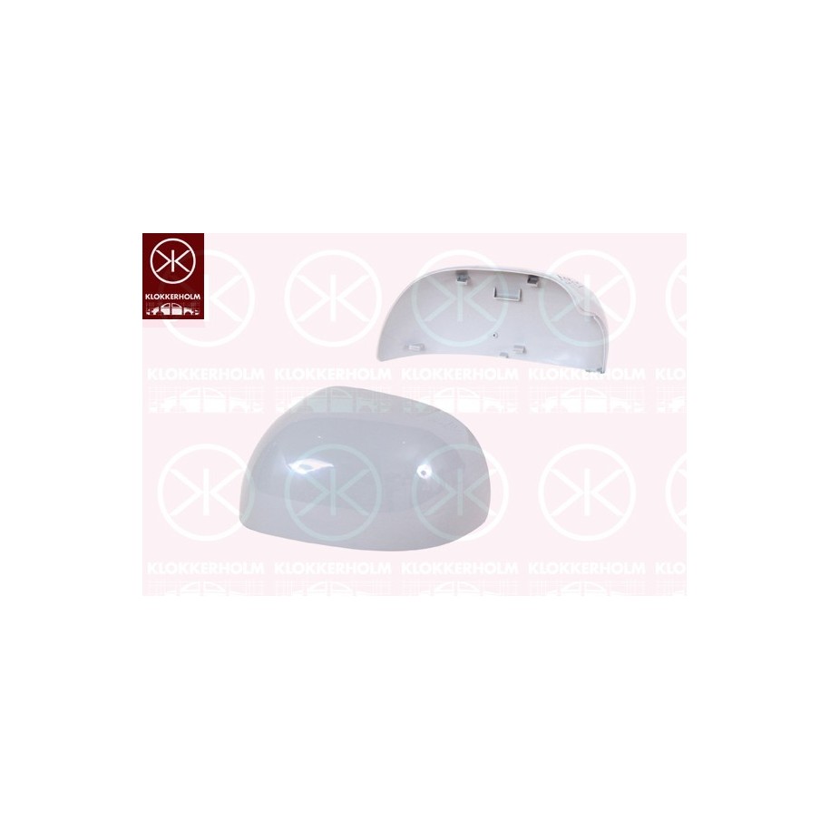 Exterior Mirror Cover - KK 20091052