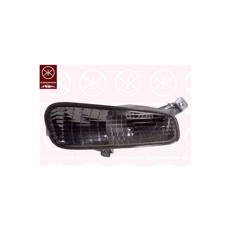 Direction Indicator Light - KK 20190061