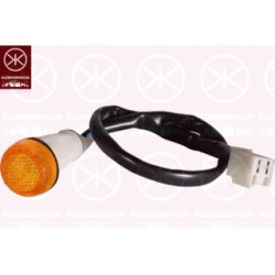 Direction Indicator Light - KK 20210600