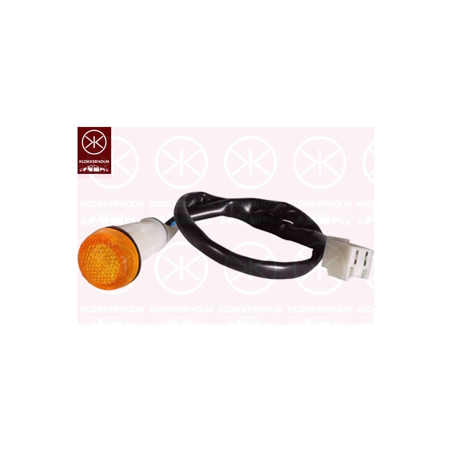 Direction Indicator Light - KK 20210600