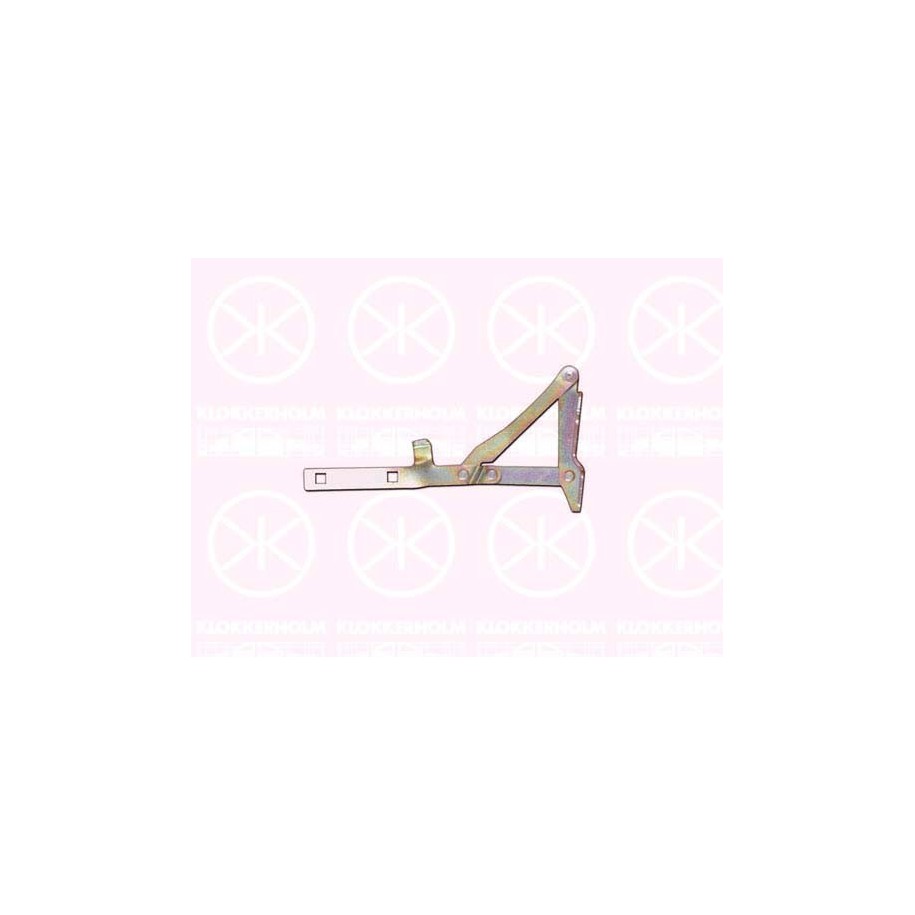 Bonnet Hinge - KK 2092451