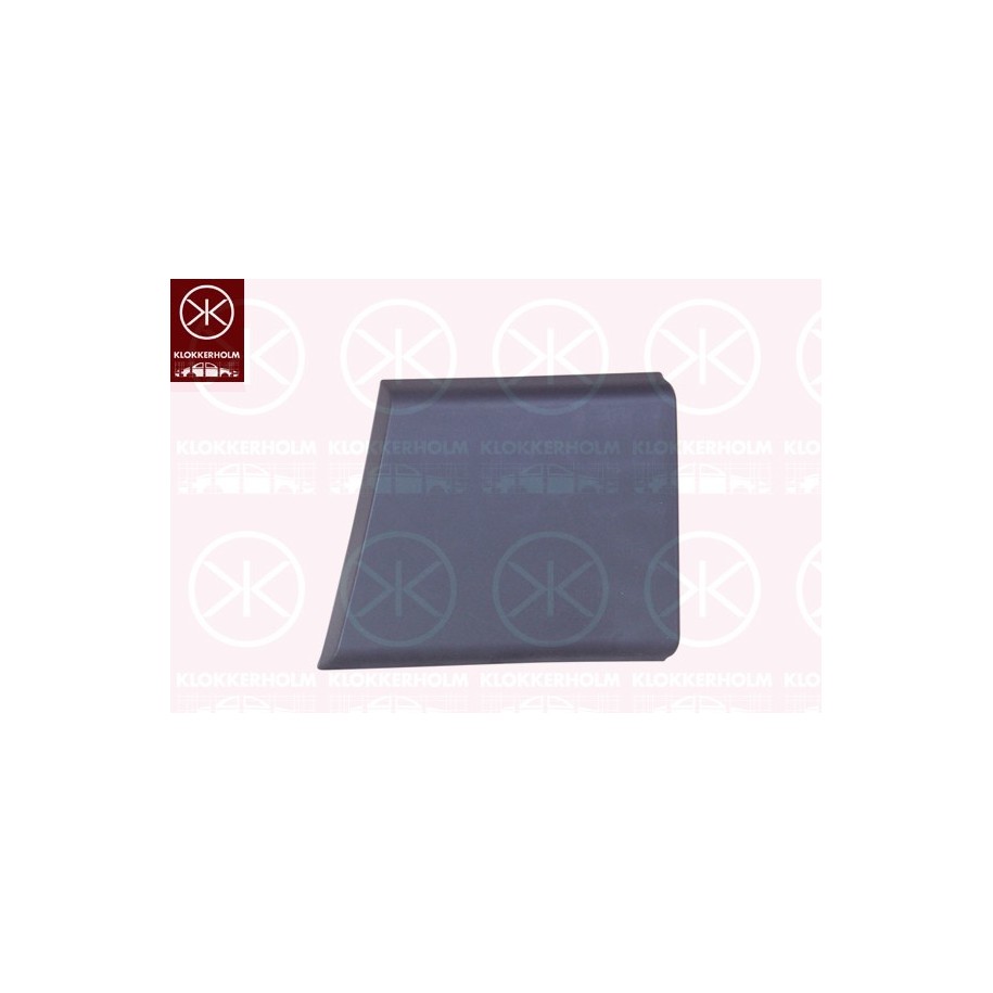 Door Trim/Protection Strip - KK 20970015